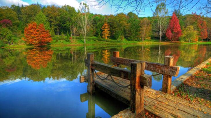 Atatürk Arboretum