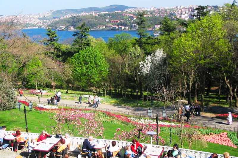 Emirgan Grove