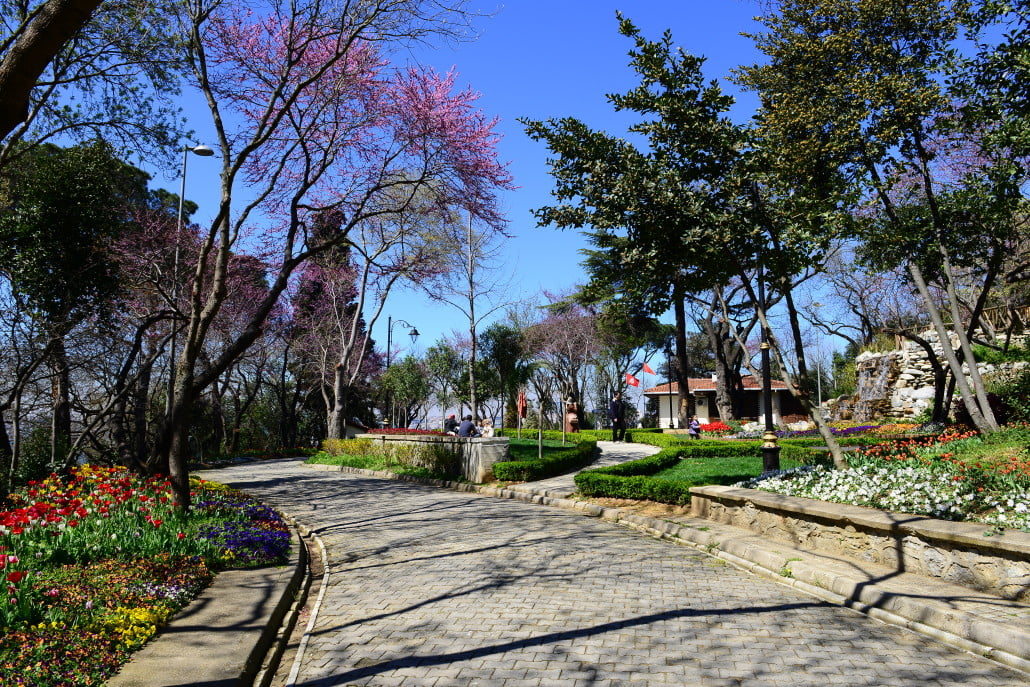 Fethi Paşa Grove