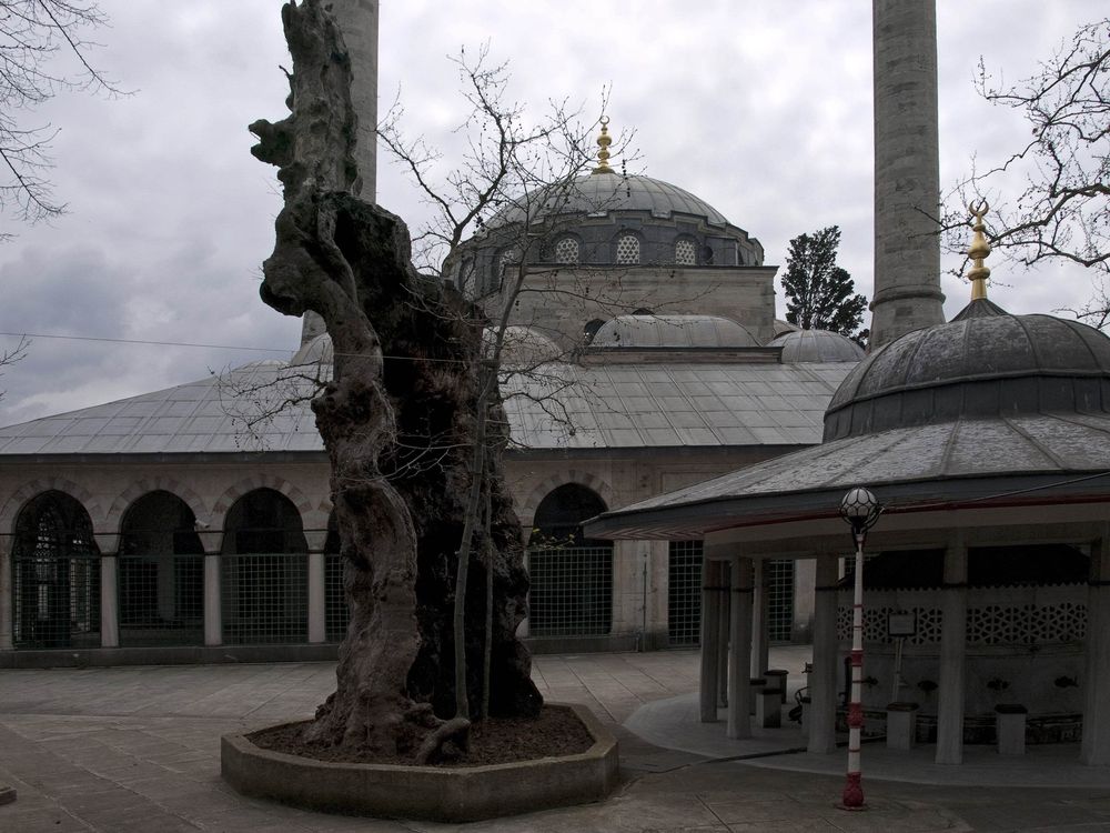 Valide-i Atik Mosque