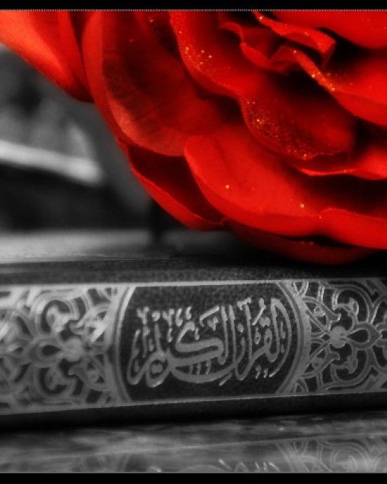 THE QURAN