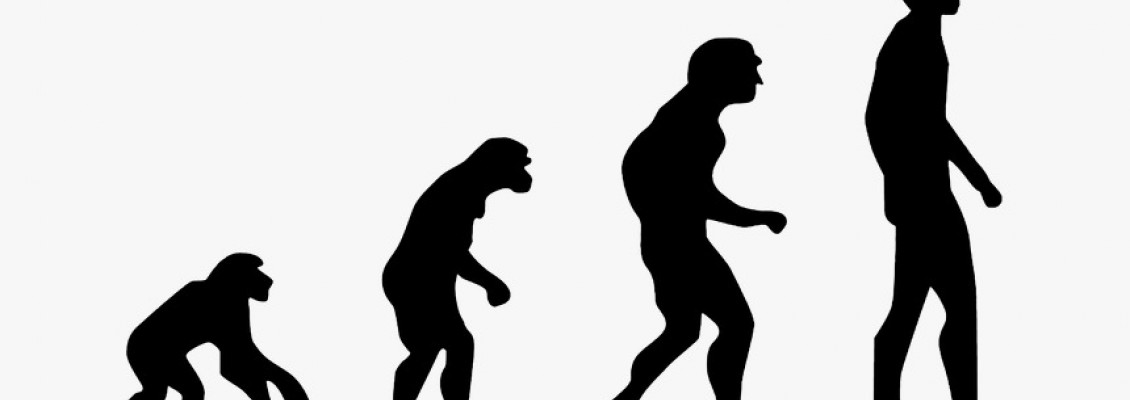 IS EVOLUTION THE EVIDENCE FOR ATHEISM